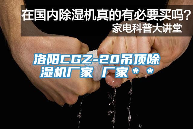 洛陽CGZ-20吊頂除濕機廠家 廠家＊＊