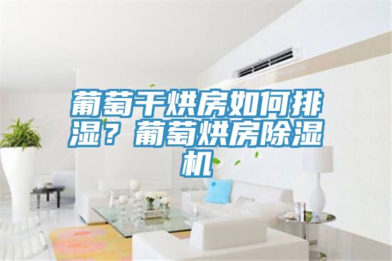 葡萄干烘房如何排濕？葡萄烘房除濕機