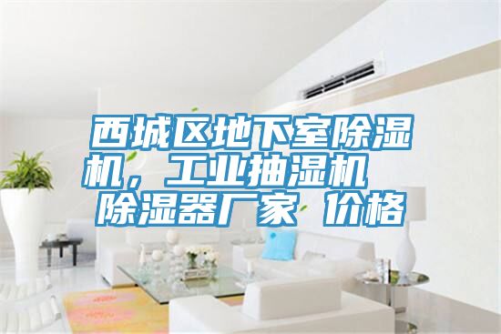 西城區(qū)地下室除濕機(jī)，工業(yè)抽濕機(jī)  除濕器廠(chǎng)家 價(jià)格