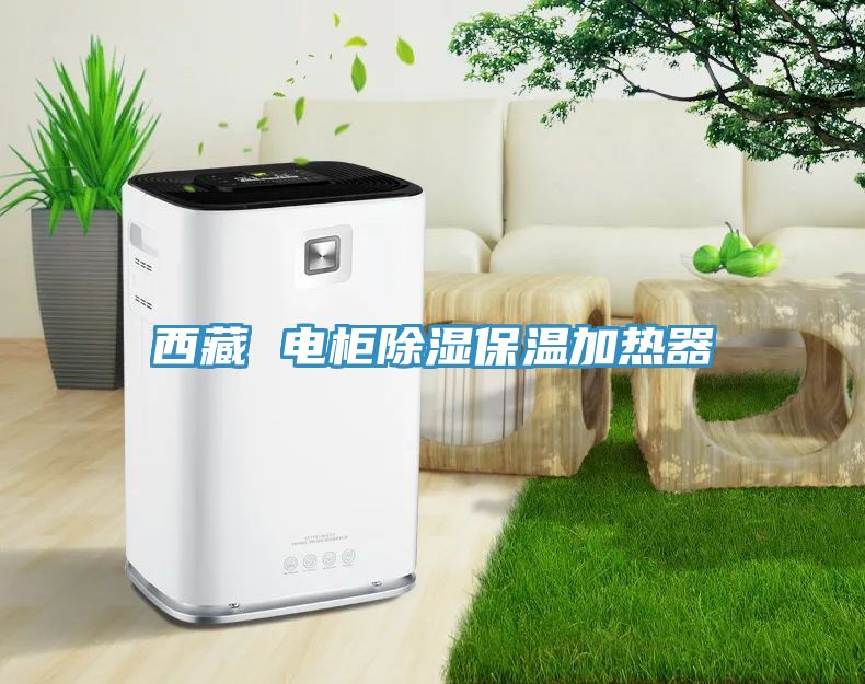 西藏 電柜除濕保溫加熱器