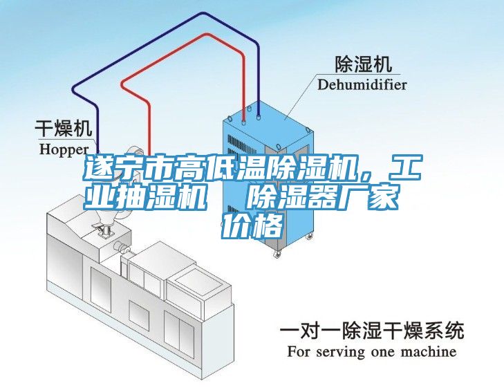 遂寧市高低溫除濕機(jī)，工業(yè)抽濕機(jī)  除濕器廠家 價格