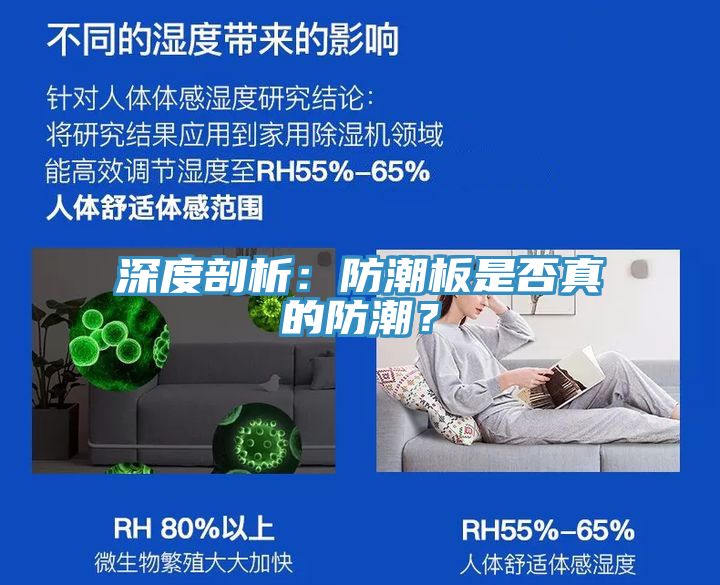 深度剖析：防潮板是否真的防潮？