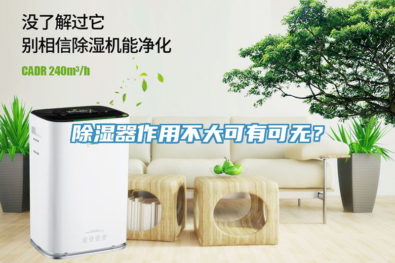 除濕器作用不大可有可無？