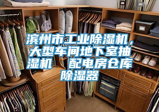 濱州市工業(yè)除濕機，大型車間地下室抽濕機  配電房倉庫除濕器