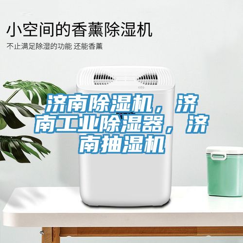 濟南除濕機，濟南工業(yè)除濕器，濟南抽濕機