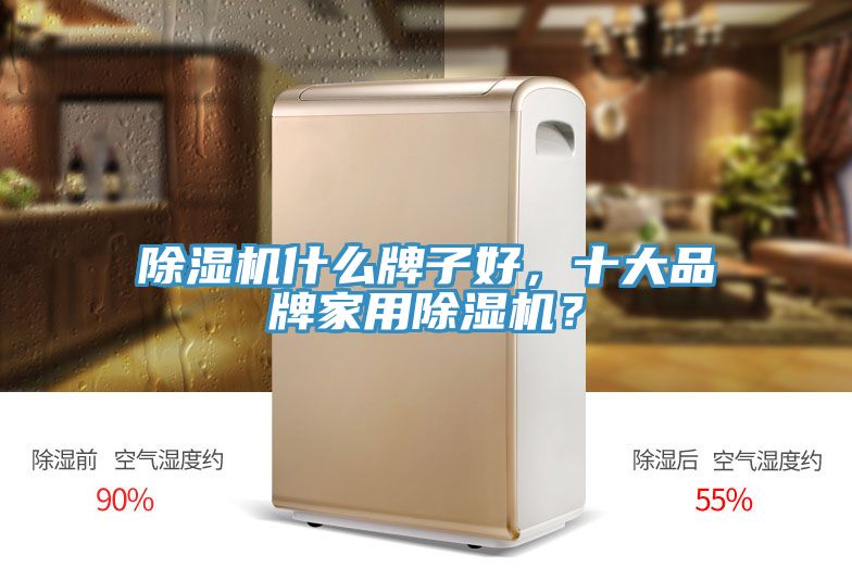 除濕機什么牌子好，十大品牌家用除濕機？