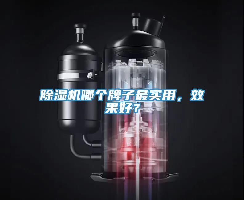 除濕機哪個牌子最實用，效果好？