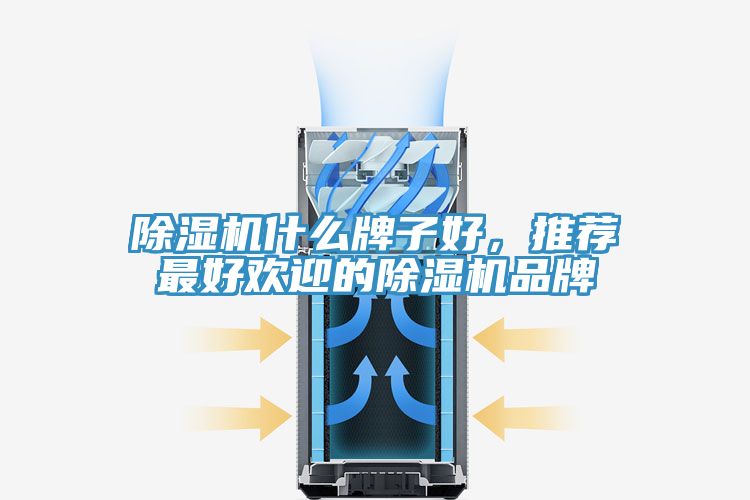 除濕機什么牌子好，推薦最好歡迎的除濕機品牌