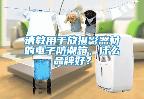 請(qǐng)教用于放攝影器材的電子防潮箱，什么品牌好？