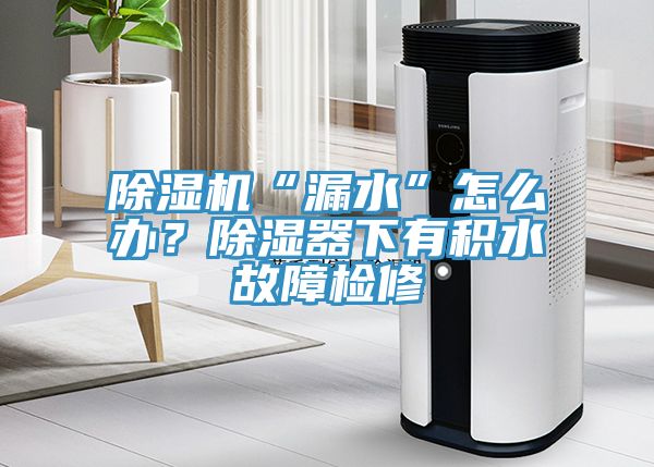 除濕機(jī)“漏水”怎么辦？除濕器下有積水故障檢修