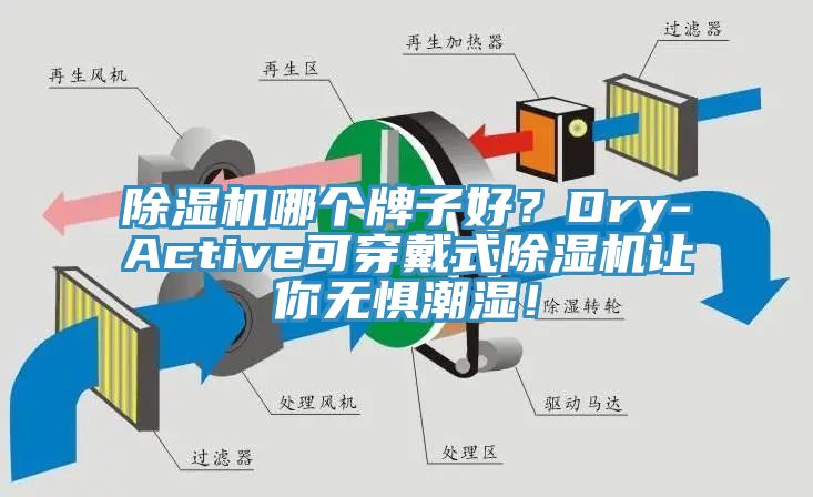 除濕機(jī)哪個(gè)牌子好？Dry-Active可穿戴式除濕機(jī)讓你無(wú)懼潮濕！