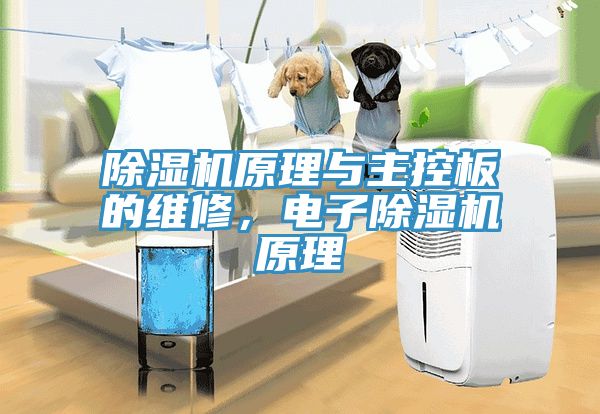 除濕機(jī)原理與主控板的維修，電子除濕機(jī)原理