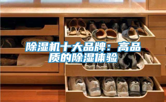 除濕機十大品牌：高品質(zhì)的除濕體驗