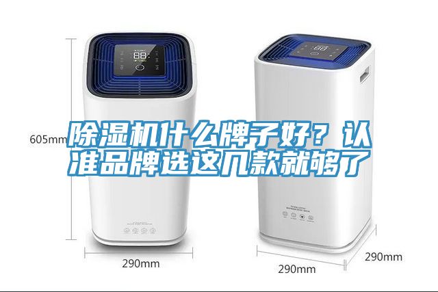 除濕機什么牌子好？認準品牌選這幾款就夠了