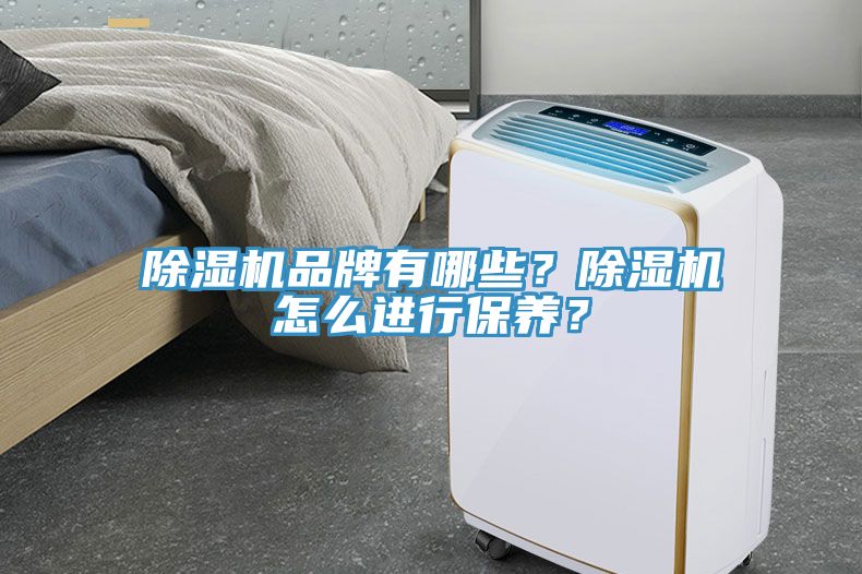 除濕機品牌有哪些？除濕機怎么進行保養(yǎng)？