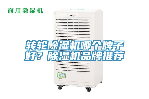 轉輪除濕機哪個牌子好？除濕機品牌推薦