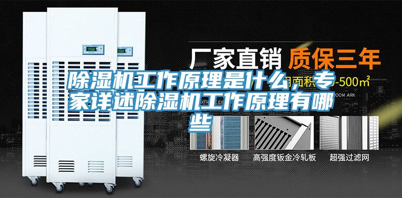 除濕機工作原理是什么，專家詳述除濕機工作原理有哪些