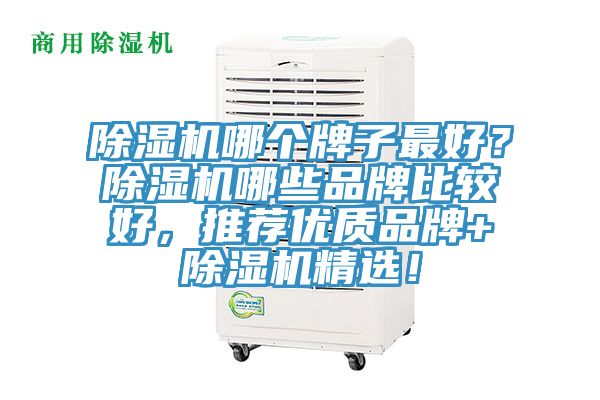 除濕機(jī)哪個(gè)牌子最好？除濕機(jī)哪些品牌比較好，推薦優(yōu)質(zhì)品牌+除濕機(jī)精選！