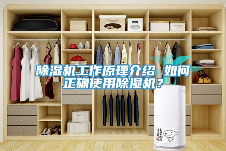 除濕機工作原理介紹 如何正確使用除濕機？