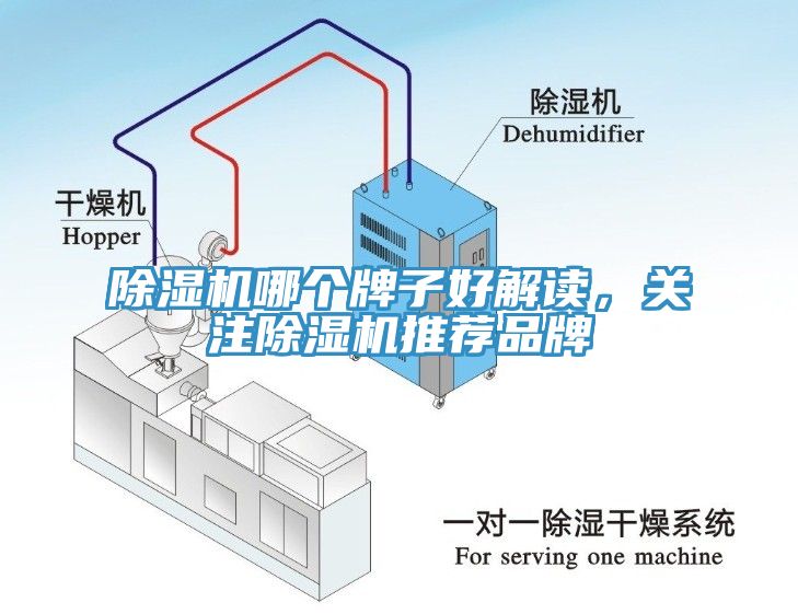 除濕機(jī)哪個(gè)牌子好解讀，關(guān)注除濕機(jī)推薦品牌